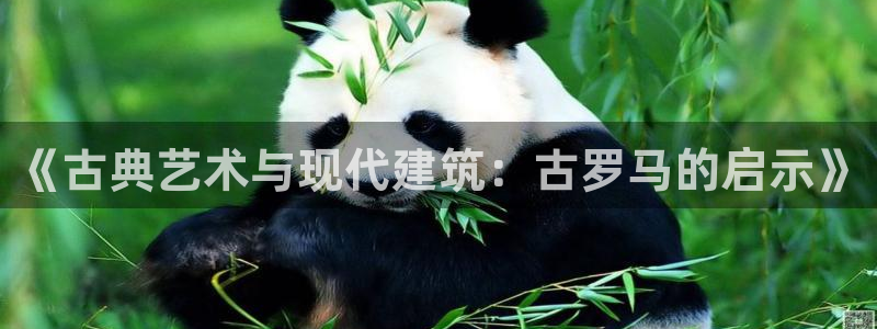 和记国际平台官网