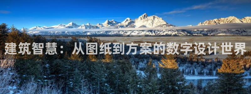 和记官网app是谁的