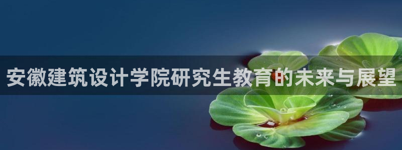 和记官网进入