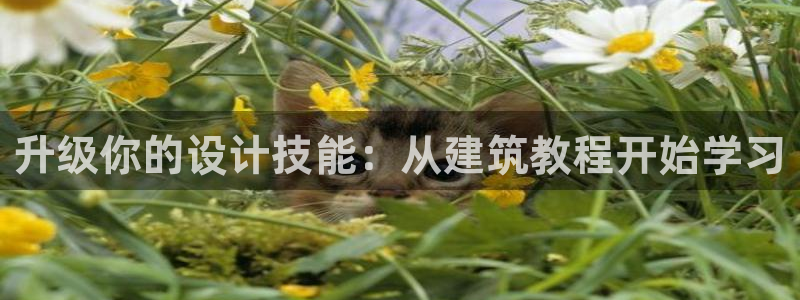 和记app官方官网登录：升级你的设计技能：从建筑教程开始学习