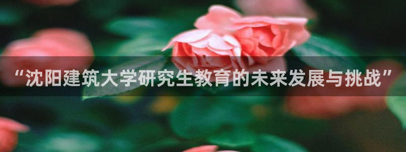 澳门和记官网娱乐场