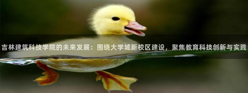 香港3和记官网：吉林建筑科技学院的未来发展：围绕大学城新校区建设，聚焦教育科技创新与实践