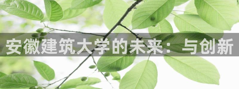 和记国际有限公司官网
