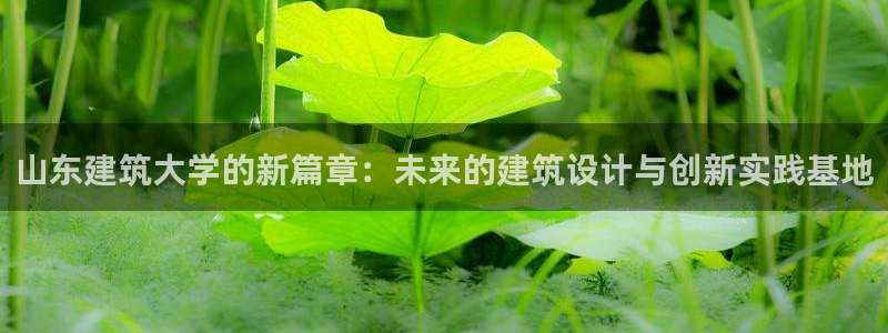 和记洋行官网