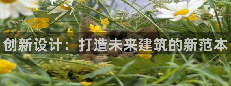 和记家家加盟官网