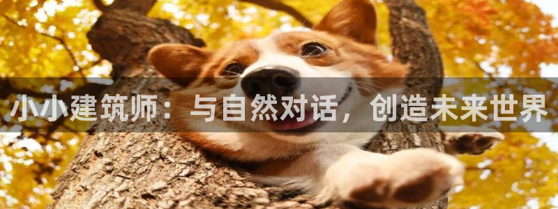 和记游戏官网：小小建筑师：与自然对话，创造未来世界