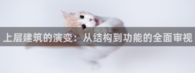 和记唯一官网：上层建筑的演变：从结构到功能的全面审视