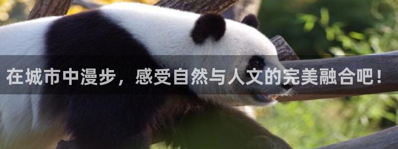 和记官网app