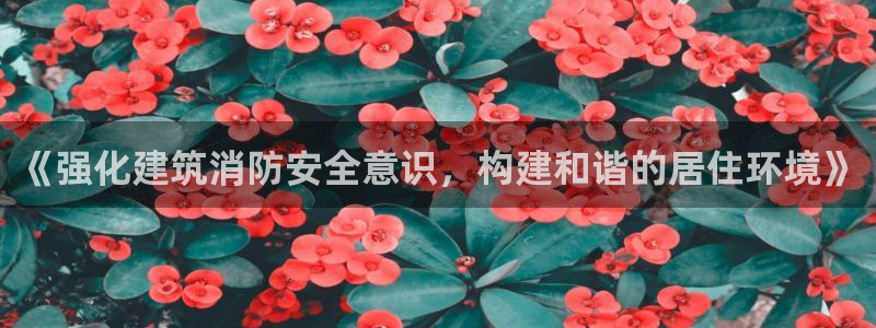 三宇和记官网
