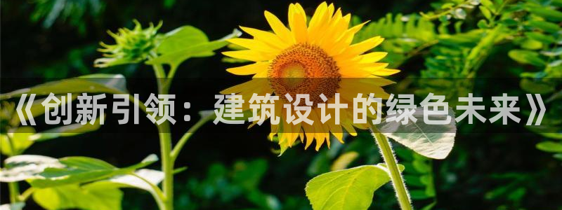 和记黄埔官网攻略