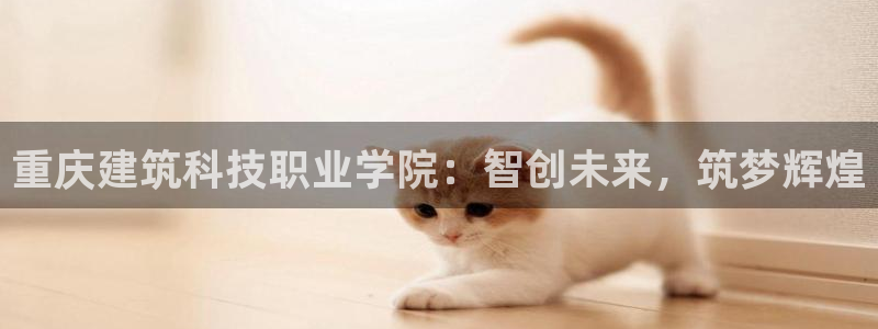 菲律宾和记官网
