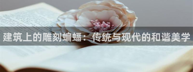 和记h188官网