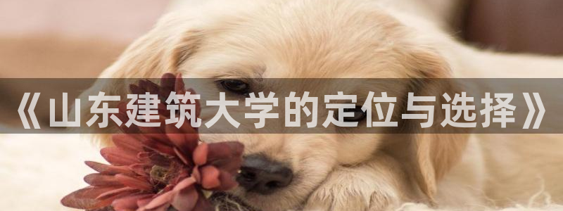 和记娱技精h88285官网