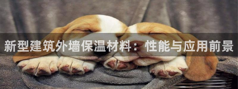 和记黄埔官网攻略