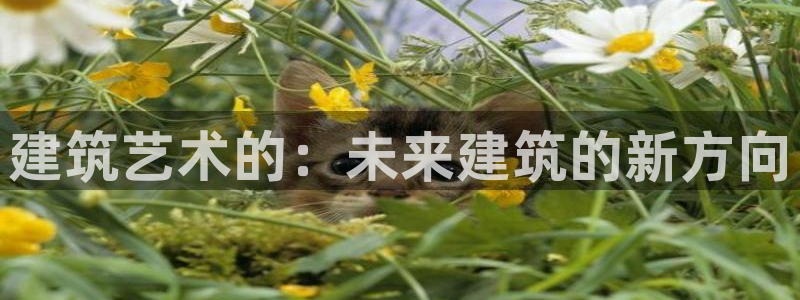 和记3电讯 官网