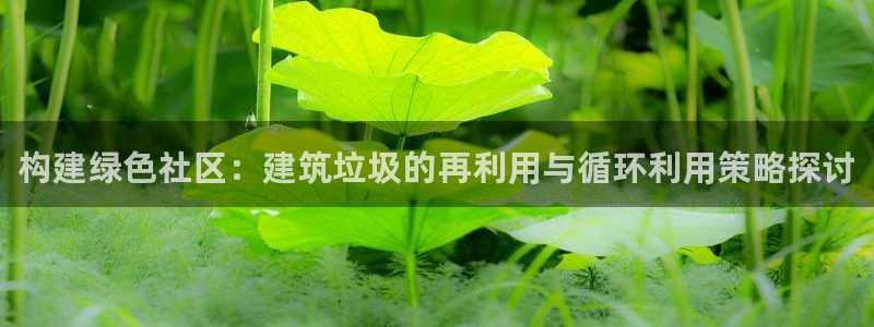 缅甸和记国际官网