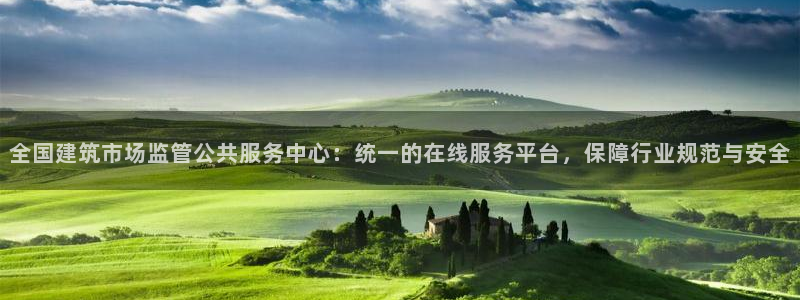 和记娱乐网官网：全国建筑市场监管公共服务中心：统一的在线服务平台，保障行业规范与安全