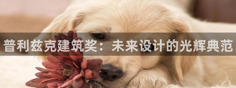 和记奥普泰 官网