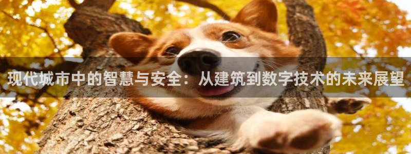 长江和记有限公司官网：现代城市中的智慧与安全：从建筑到数字技术的未来展望