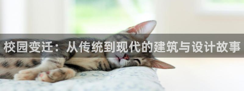 和记电讯官网0机构