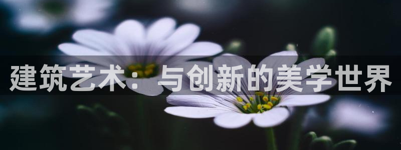 和记娱要多少钱h88285官网：建筑艺术：与创新的美学世界
