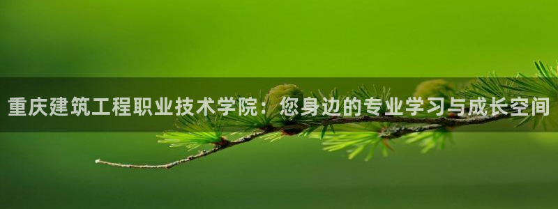 和记3电讯官网：重庆建筑工程职业技术学院：您身边的专业学习与成长空间