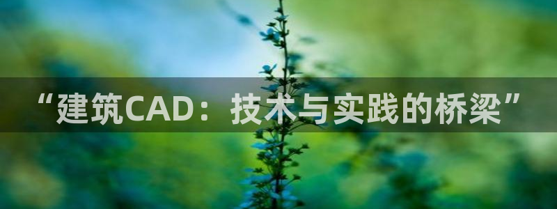 印尼和记官网：“建筑CAD：技术与实践的桥梁”