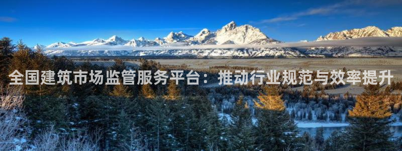 和记官网手机版：全国建筑市场监管服务平台：推动行业规范与效率提升