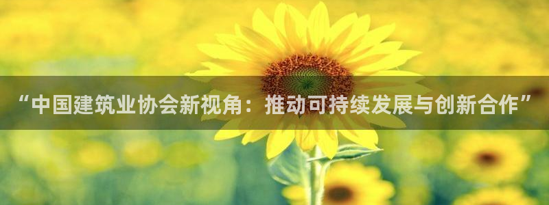 和记黄埔武汉官网