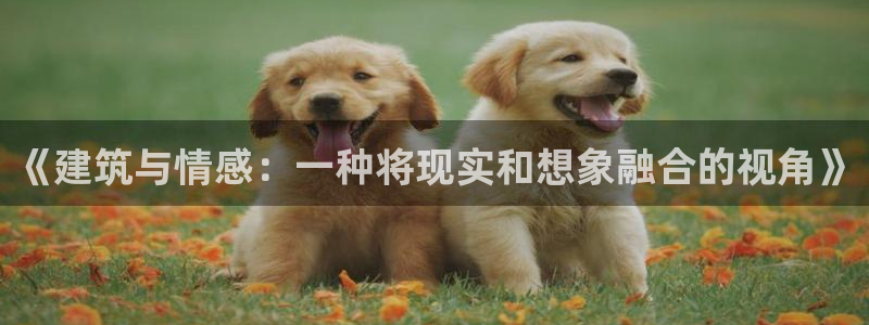 和记官网客户端