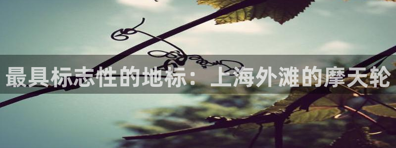 和记官网 公司
