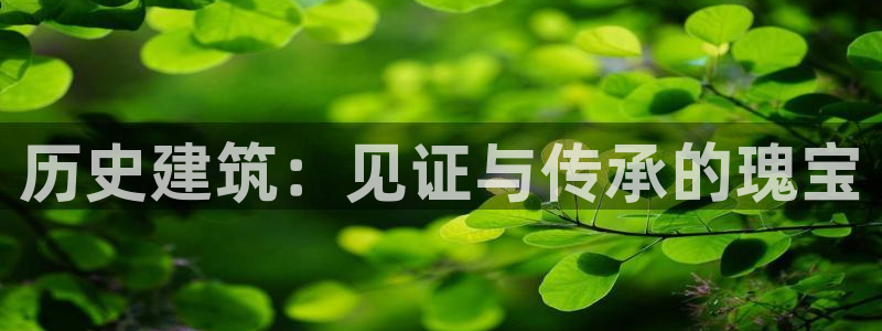 桃源记九游和官网