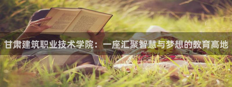 和记电讯官网0机构